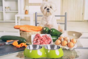 healthy food for dogs