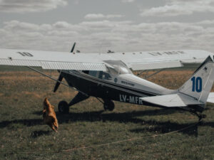 travel on a plane with your dog