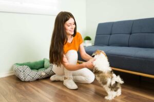 playing-with-beautiful-shih-tzu-puppy-home-excited-young-woman-having-fun-petting-her-beautiful-dog (1)