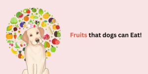 which fruits that dogs can eat.