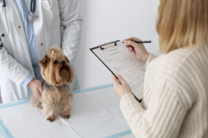 best pet healthcare plan