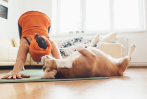 ﻿Get Your Dog Moving - Tips for Better Dog Health Fitness