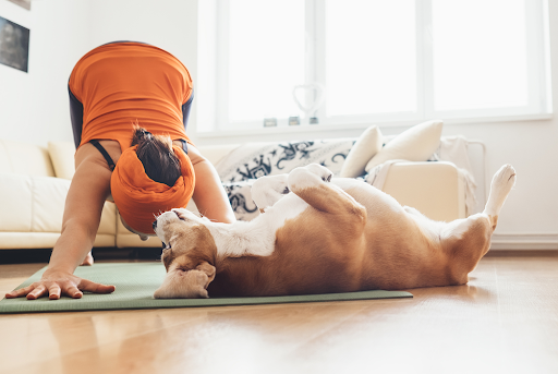 Get Your Dog Moving – Tips for Better Dog Health Fitness