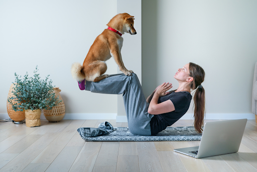 5 Easy Tips – Learn How to Maintain Your Dog Health Fitness