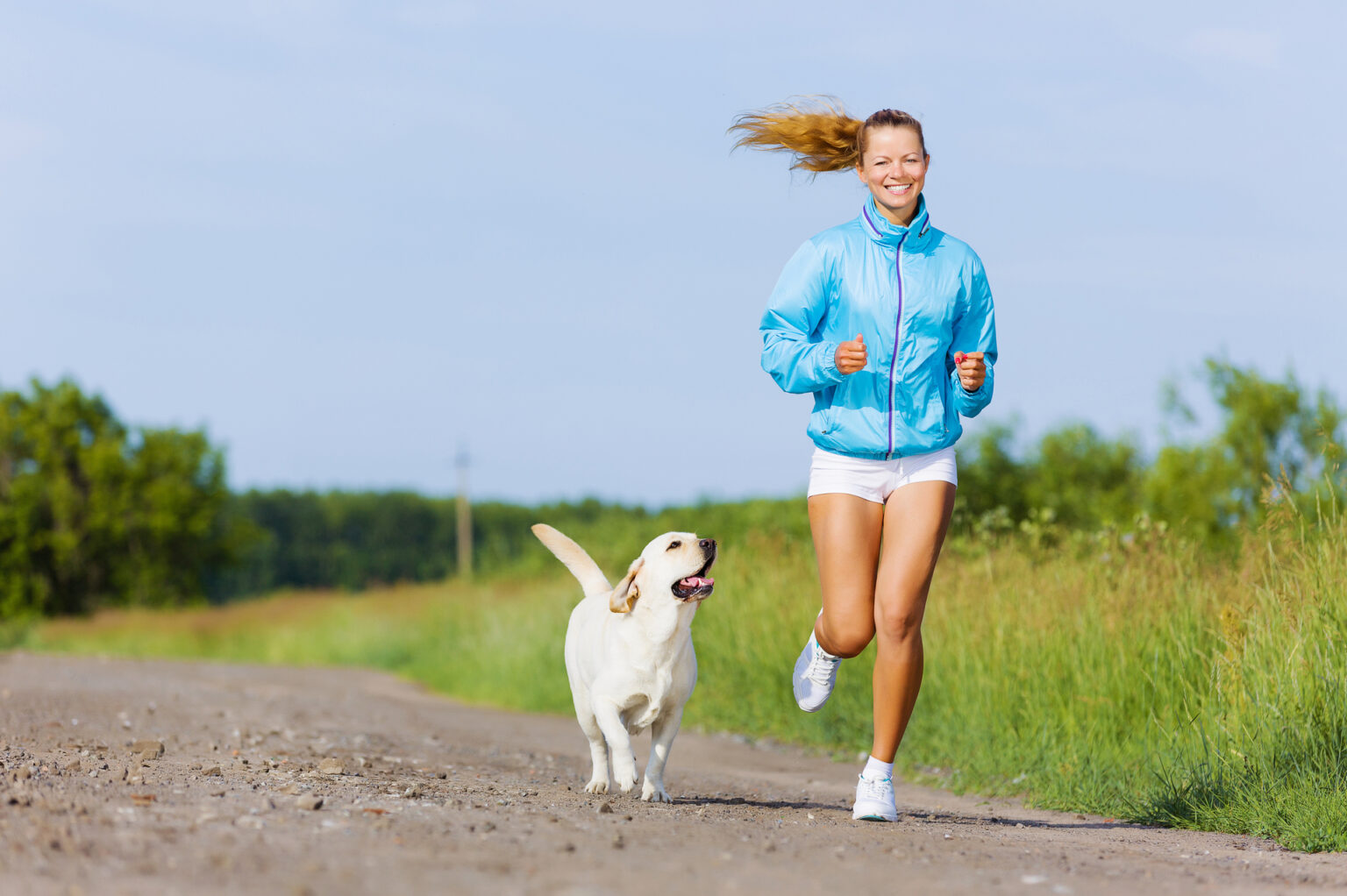 dog weight loss running with person
